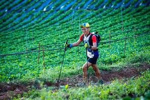 BIB: 262
                            <button type="button" onclick="openModal(19160195)" class="btn btn-primary btn-sm float-right btn-popup" data-toggle="modal" data-target=".modal-high-quality">
                        <i class="fas fa-shopping-cart"></i> Add to Cart
                    </button>
                                            <button type="button" onclick="isThisMe(19160195, true)" class="btn btn-success btn-sm float-right btn-popup btn-isme hidden" data-toggle="tooltip" data-placement="bottom" title="นี่คือรูปของคุณใช่ไหม คลิกที่นี่เพื่อเอาเข้าอัลบั้ม">
                        <i class="fas fa-plus"></i> Add to album
                    </button>
                    <button type="button" onclick="isThisMe(19160195, false)" class="btn btn-warning btn-sm float-right btn-popup btn-isnotme hidden">
                        <i class="fas fa-ban"></i> Remove from album
                    </button>